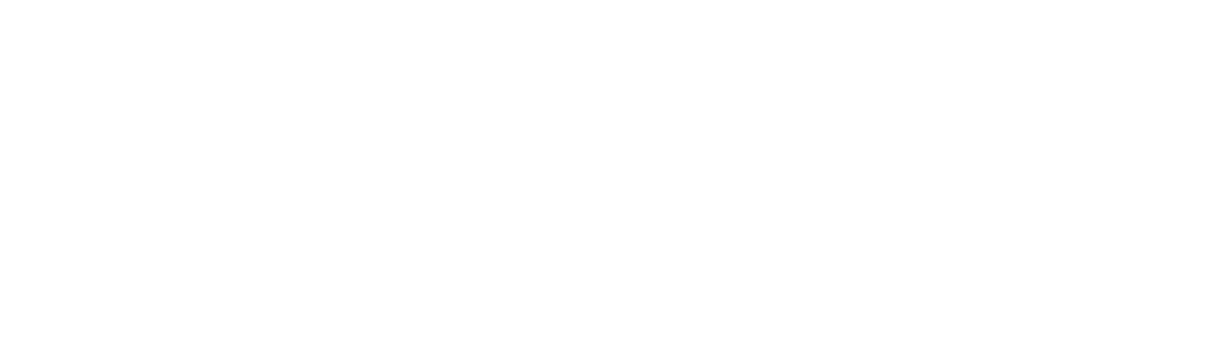 Connecting Queenstown